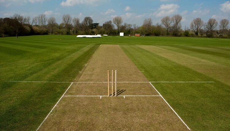 Consider some of the Different Sorts of Cricket Pitches?